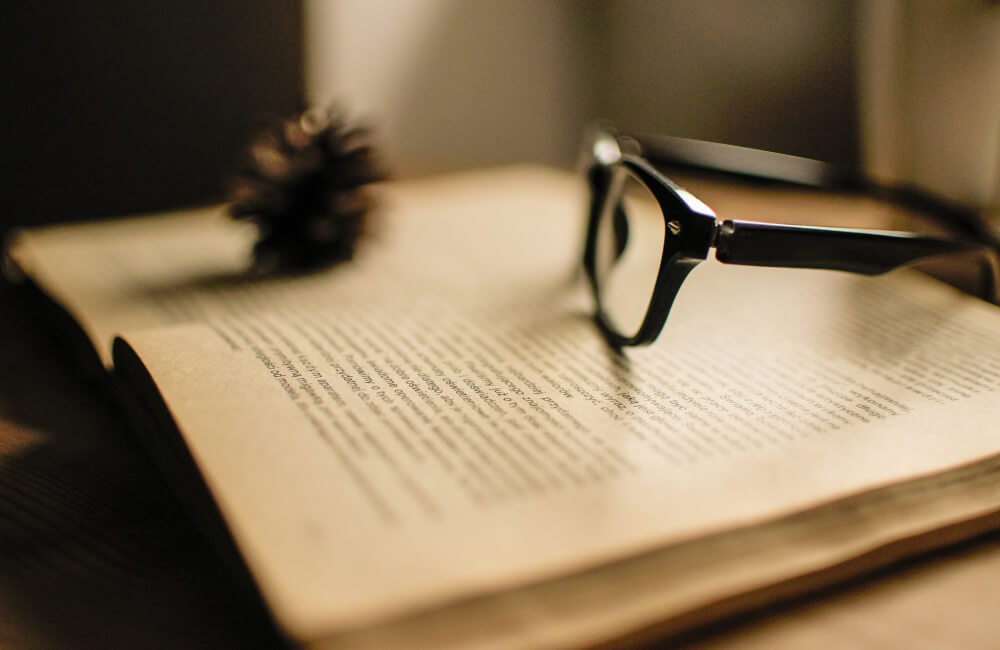 Media, Hobbies & Updates authors voice